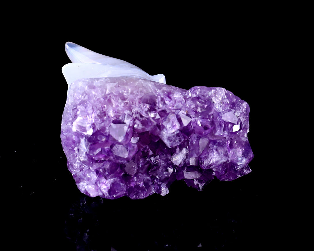 1.7" Amethyst Druse Agate Hand Carved Crystal Dragon Skull Sculpture crysvibe