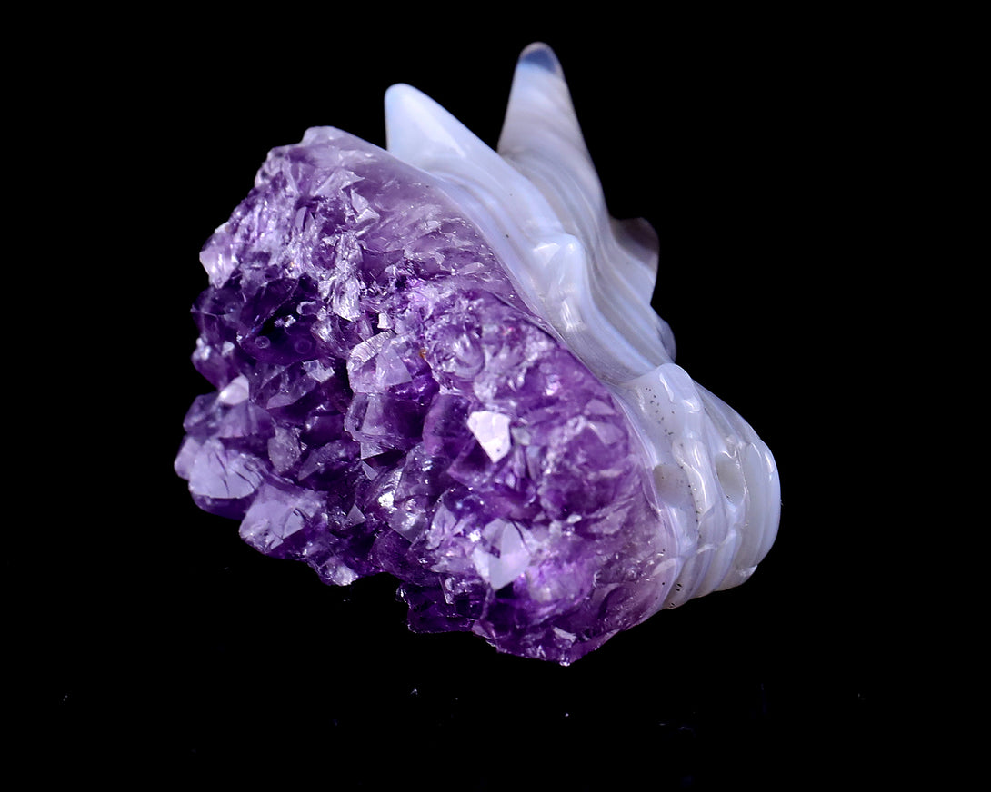 1.7" Amethyst Druse Agate Hand Carved Crystal Dragon Skull Sculpture crysvibe