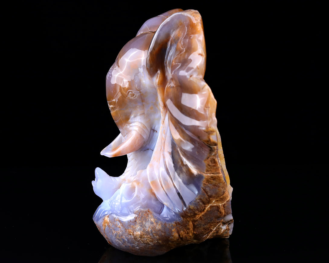 10.2" Chalcedony Hand Carved Crystal Elephant Head and Skull Sculpture crysvibe