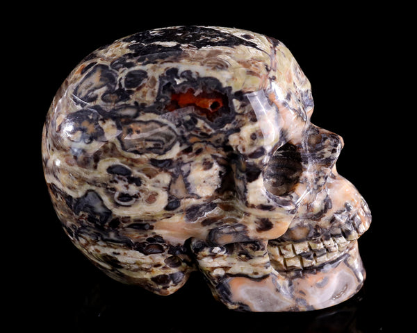 3.0" Natural Coin Agate Hand Carved Crystal Realistic Skull Sculpture