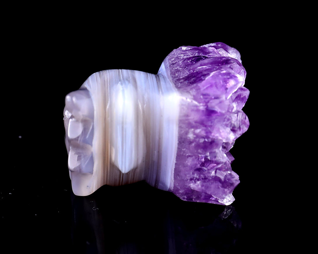 2.1" Amethyst Druse Agate Hand Carved Crystal Phoenix Skull Sculpture crysvibe