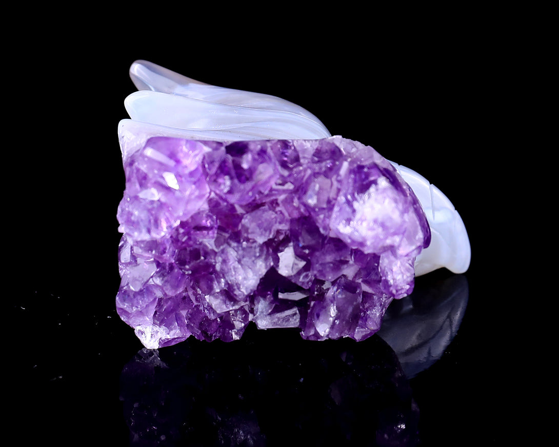 2.1" Amethyst Druse Agate Hand Carved Crystal Phoenix Skull Sculpture crysvibe