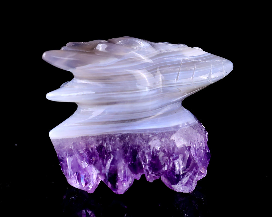 2.1" Amethyst Druse Agate Hand Carved Crystal Phoenix Skull Sculpture crysvibe