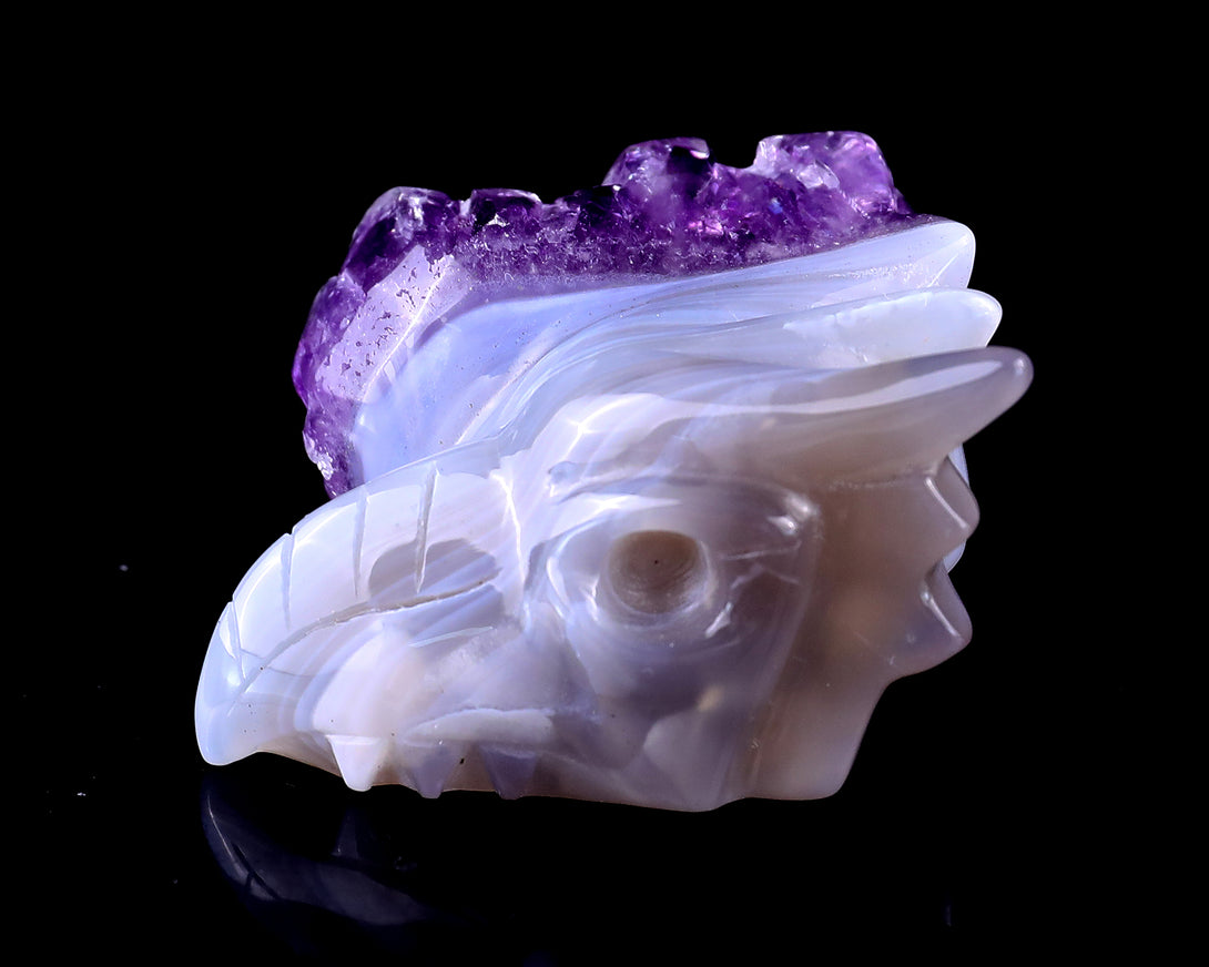 2.1" Amethyst Druse Agate Hand Carved Crystal Phoenix Skull Sculpture crysvibe