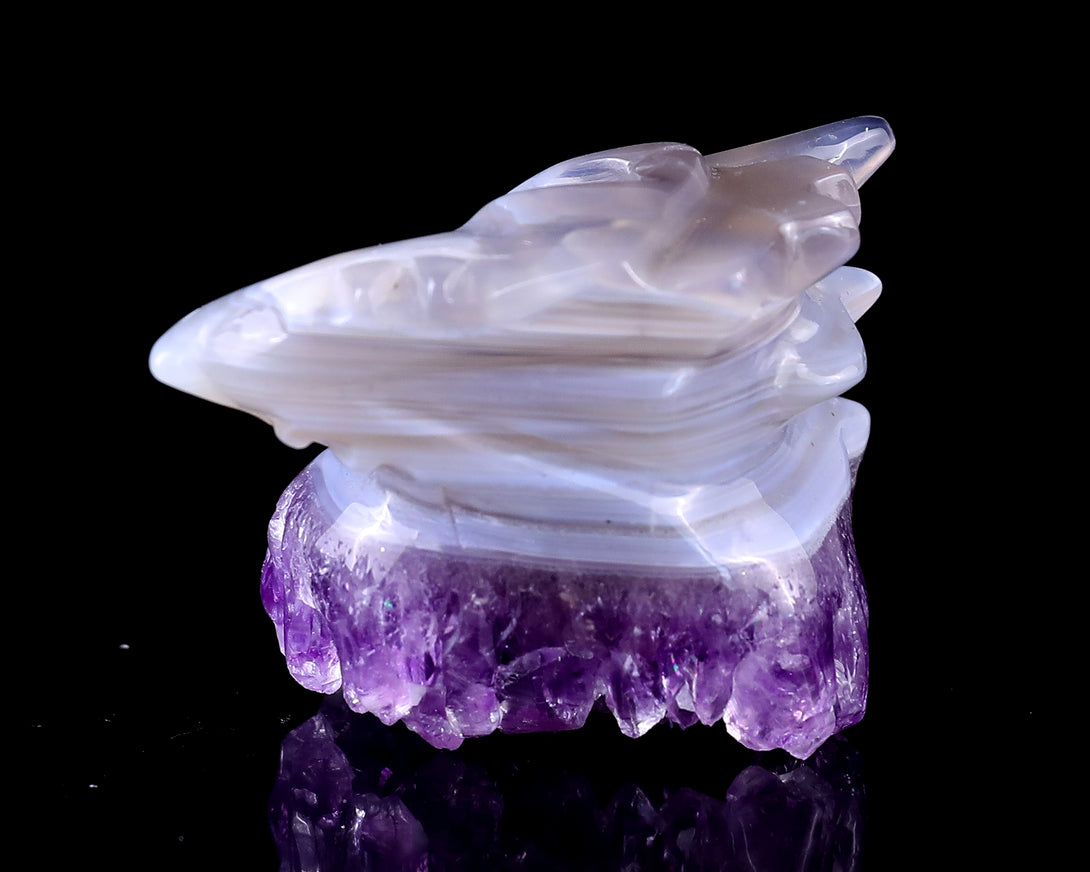 2.1" Amethyst Druse Agate Hand Carved Crystal Phoenix Skull Sculpture crysvibe