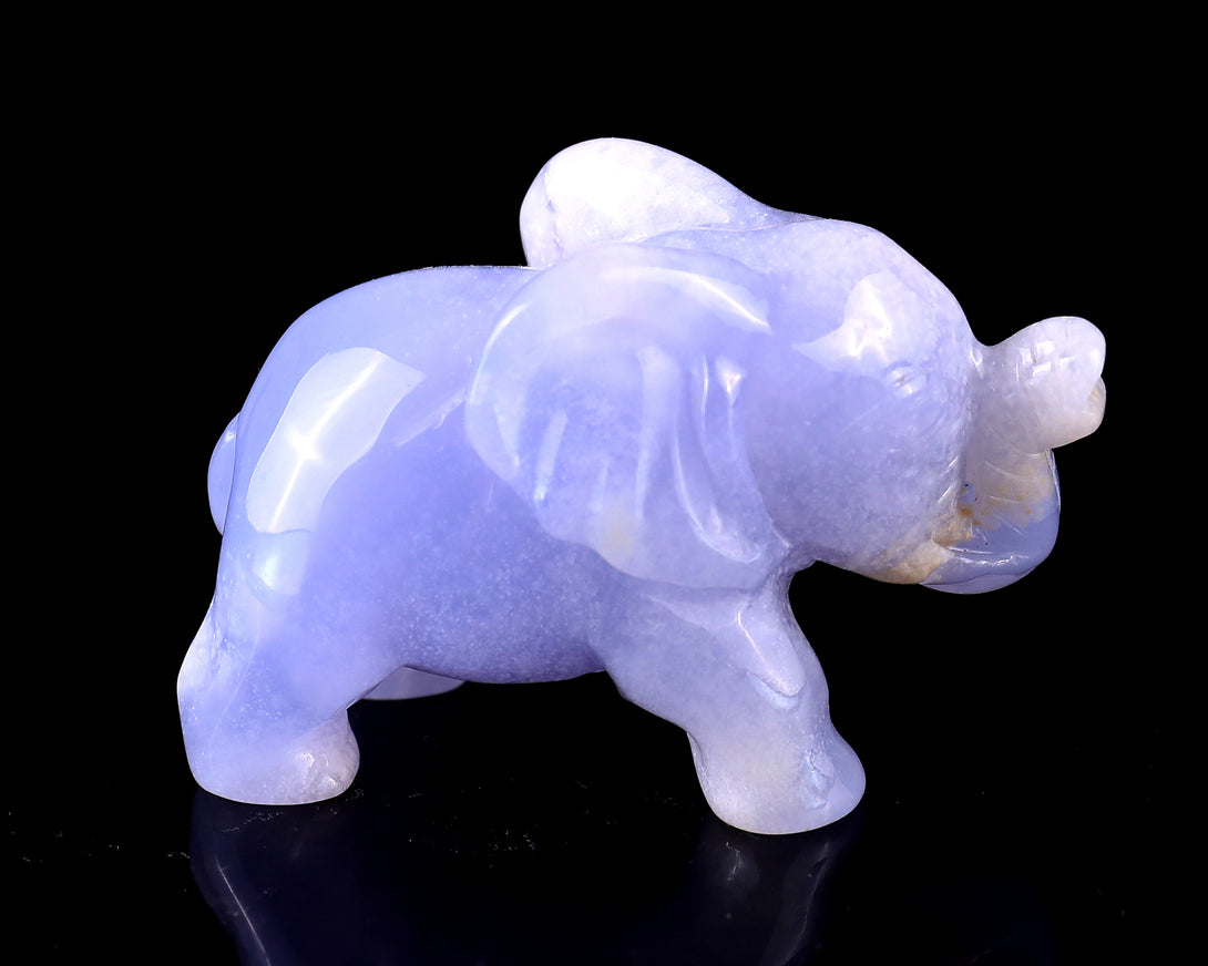 2.4" Blue Chalcedony Hand Carved Crystal Elephant Sculpture crysvibe