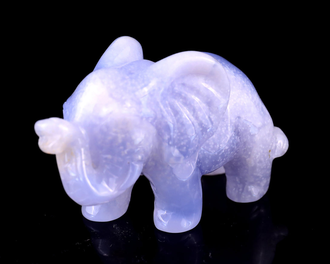 2.4" Blue Chalcedony Hand Carved Crystal Elephant Sculpture crysvibe