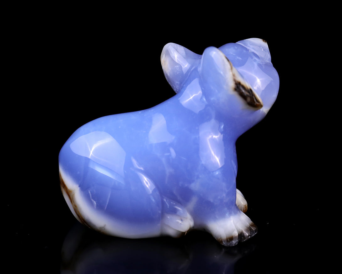 2.7" Blue Chalcedony Hand Carved Crystal Koala Sculpture crysvibe