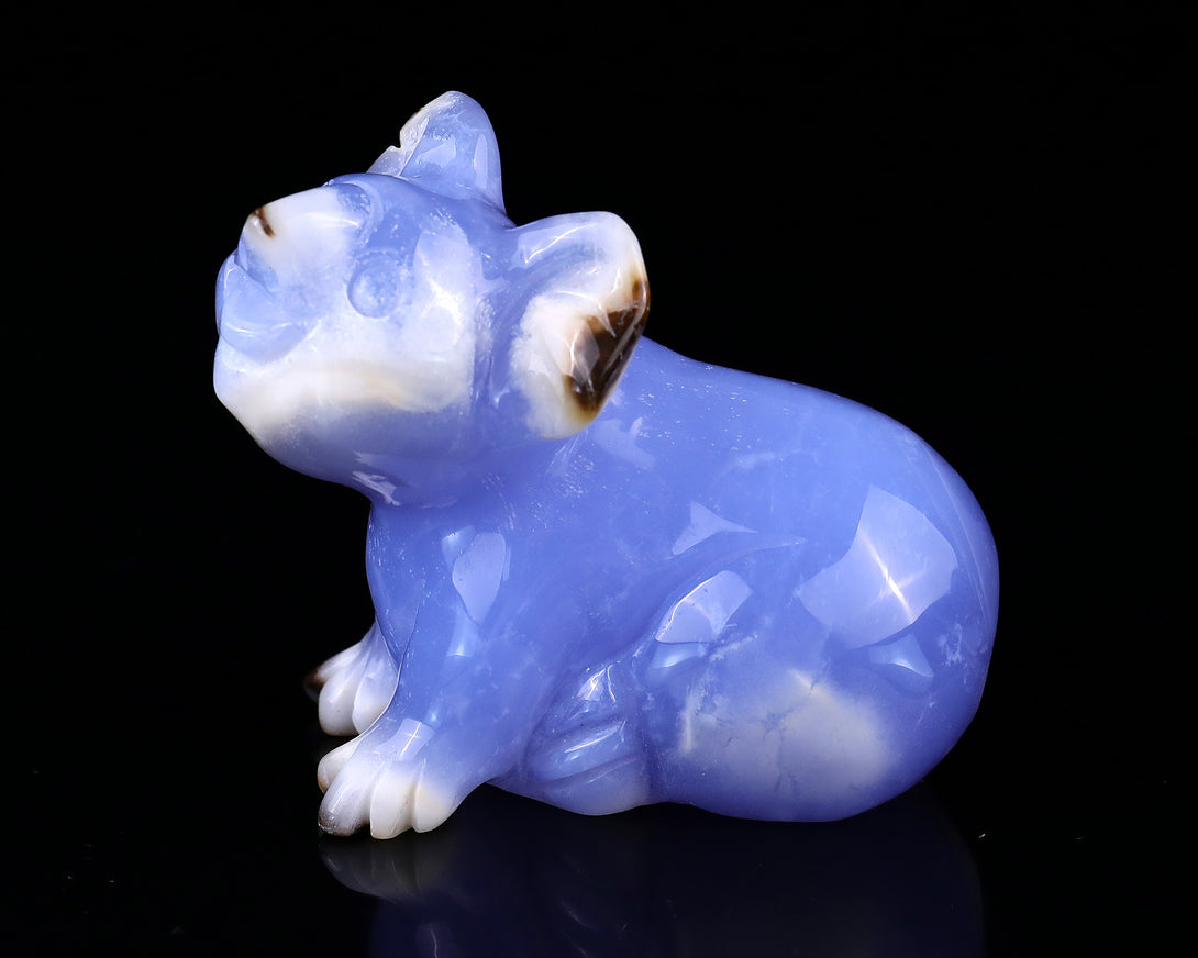 2.7" Blue Chalcedony Hand Carved Crystal Koala Sculpture crysvibe