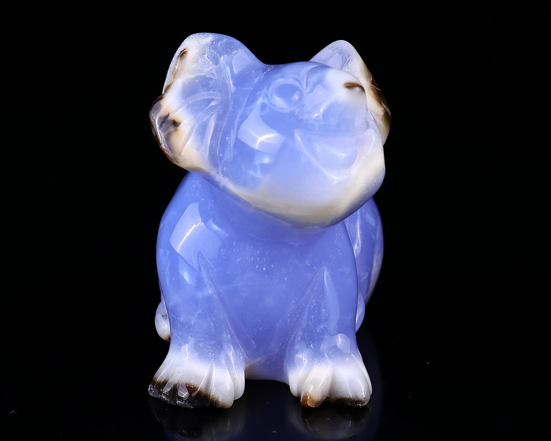 2.7" Blue Chalcedony Hand Carved Crystal Koala Sculpture crysvibe