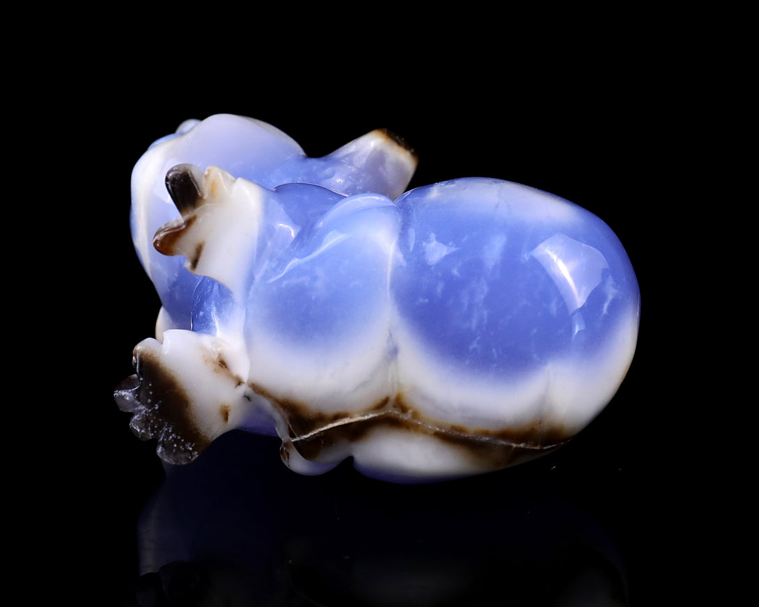 2.7" Blue Chalcedony Hand Carved Crystal Koala Sculpture crysvibe