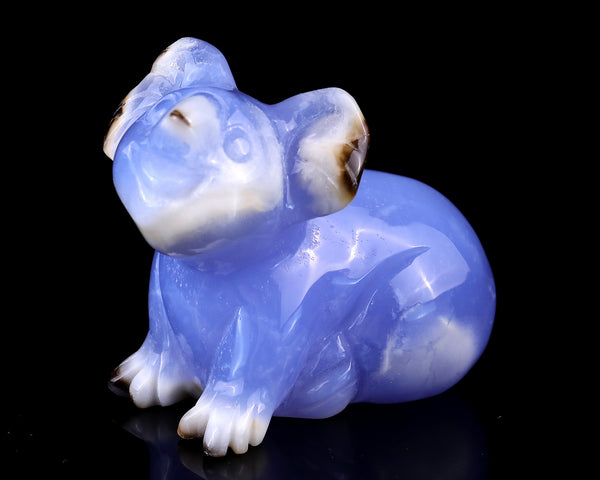 2.7" Blue Chalcedony Hand Carved Crystal Koala Sculpture crysvibe