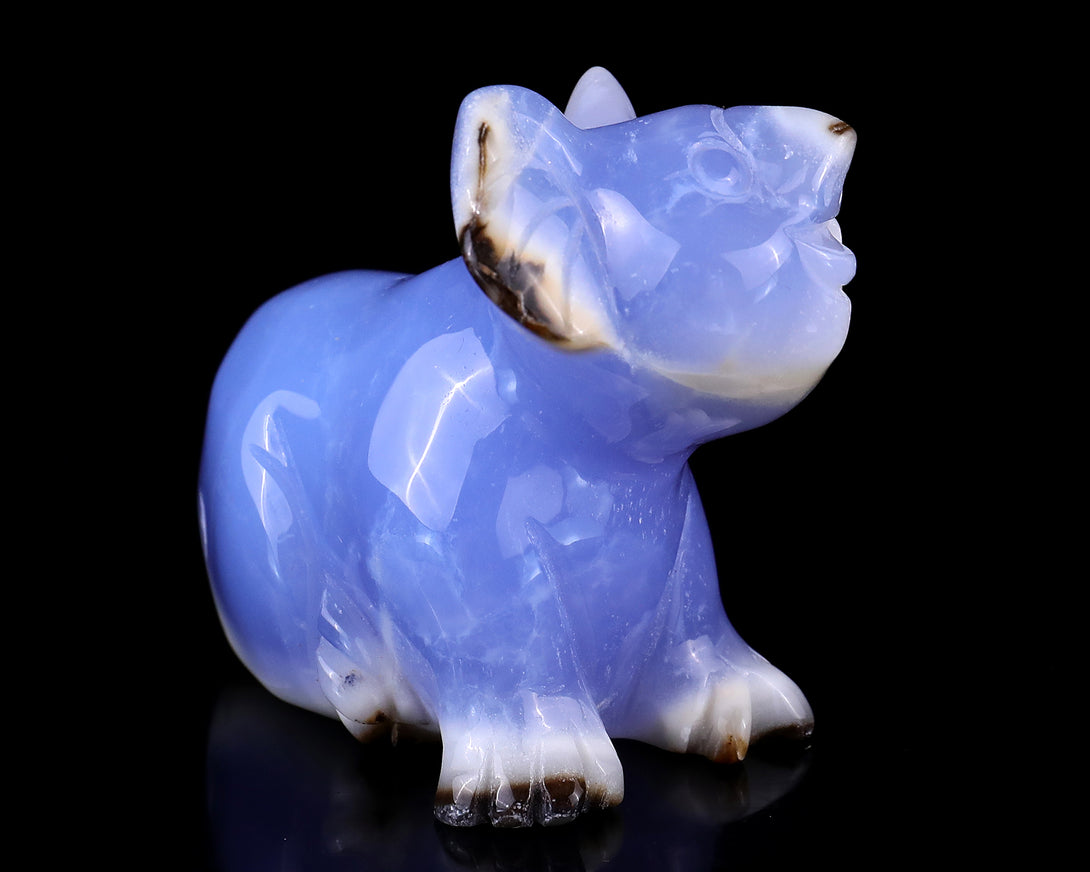 2.7" Blue Chalcedony Hand Carved Crystal Koala Sculpture crysvibe