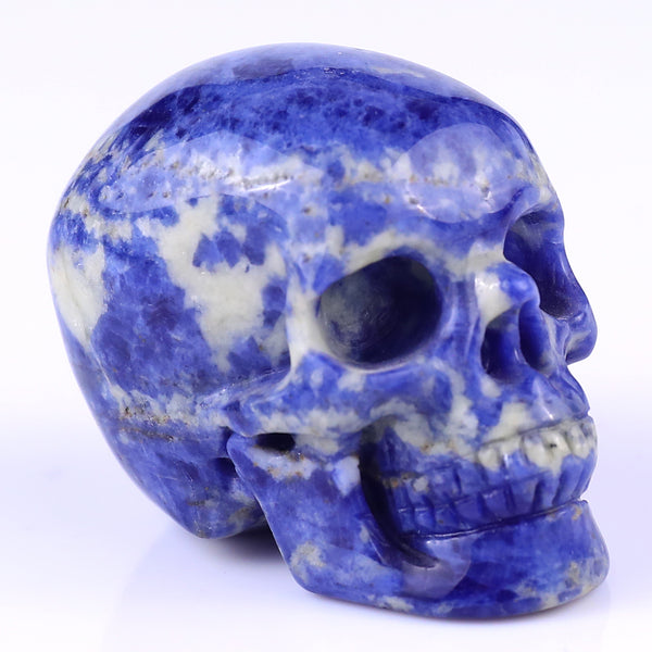 Natural Sodalite Hand Carved Crystal Realistic Skull Sculpture