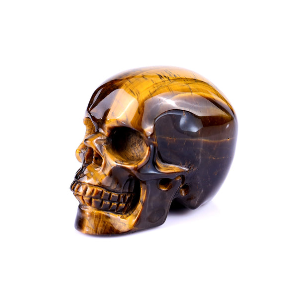 Natural Tiger Iron Eye Hand Carved Crystal Realistic Skull Sculpture