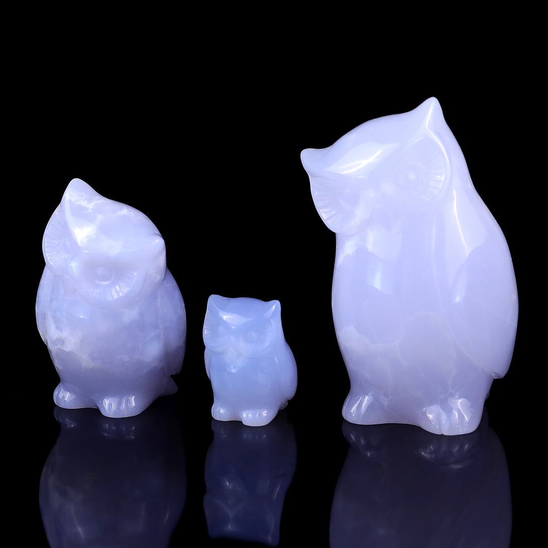 3.0" Blue Chalcedony Hand Carved Crystal Owl’s Family Sculpture crysvibe