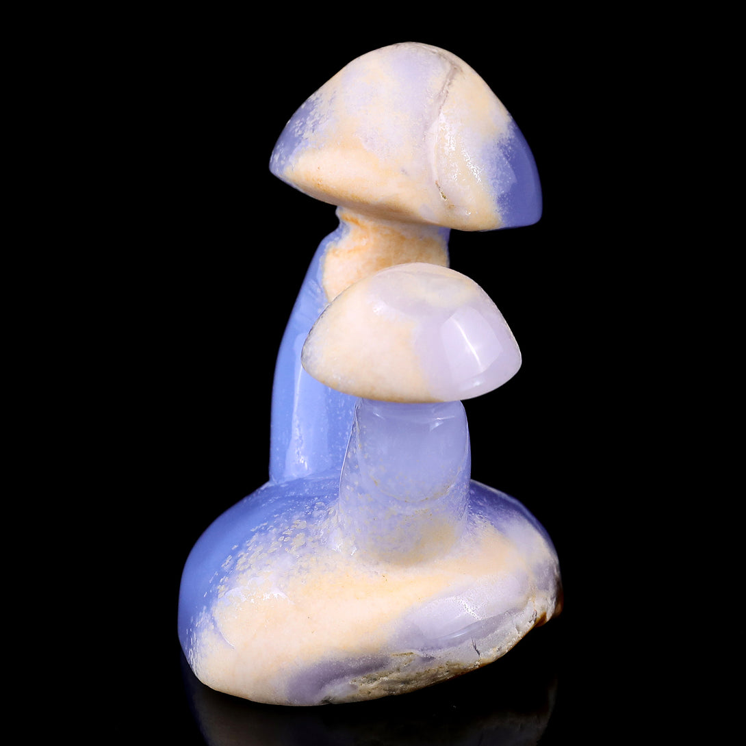 3.1" Blue Chalcedony Hand Carved Crystal Mushrooms Sculpture crysvibe