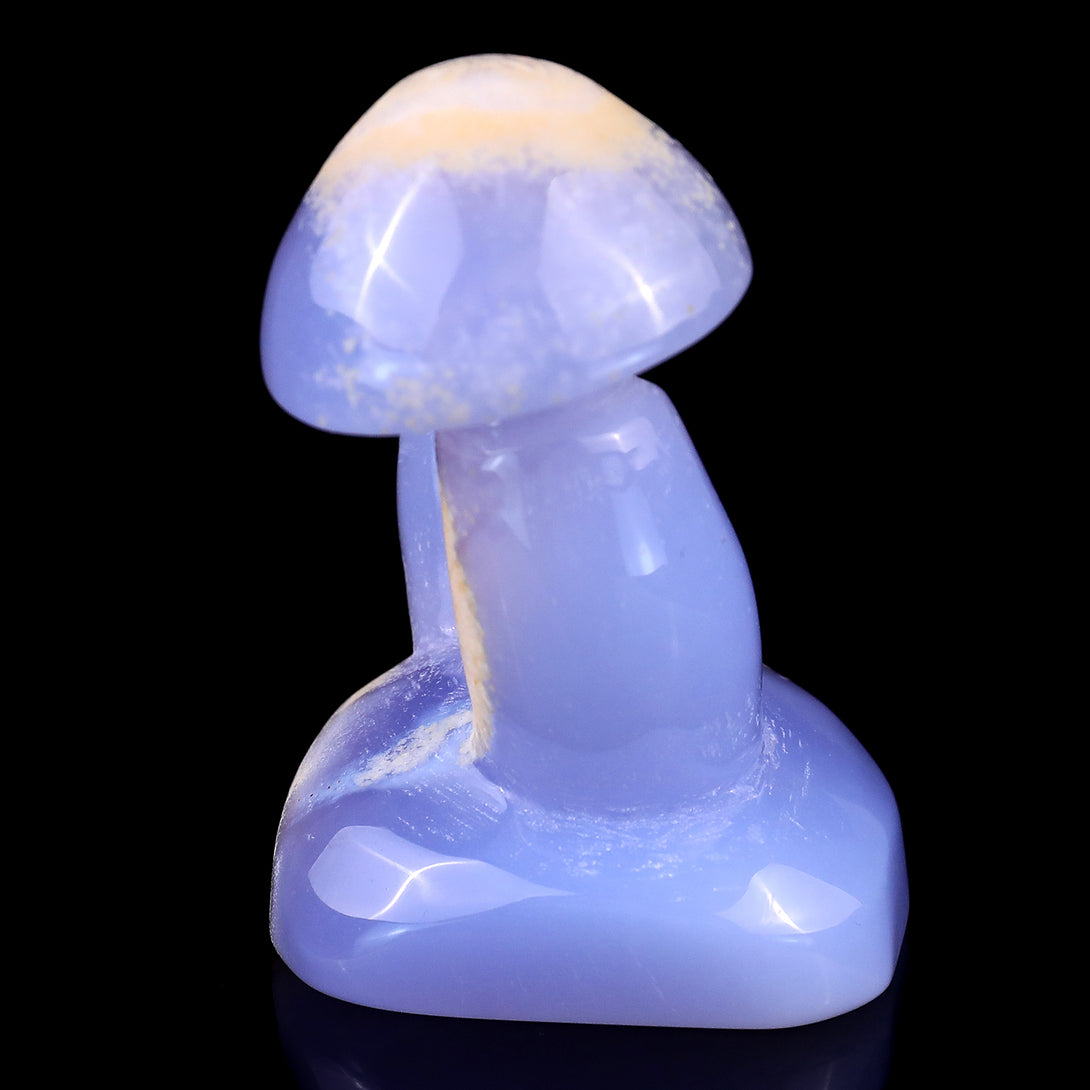 3.1" Blue Chalcedony Hand Carved Crystal Mushrooms Sculpture crysvibe