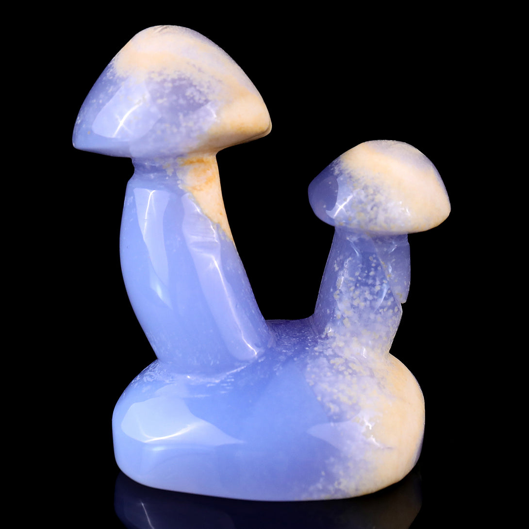 3.1" Blue Chalcedony Hand Carved Crystal Mushrooms Sculpture crysvibe