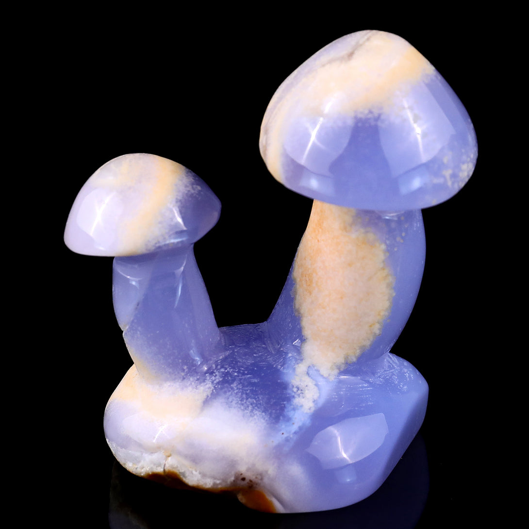 3.1" Blue Chalcedony Hand Carved Crystal Mushrooms Sculpture crysvibe