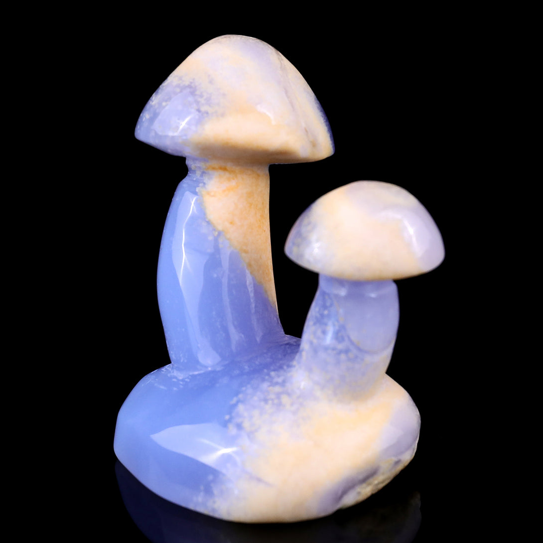 3.1" Blue Chalcedony Hand Carved Crystal Mushrooms Sculpture crysvibe