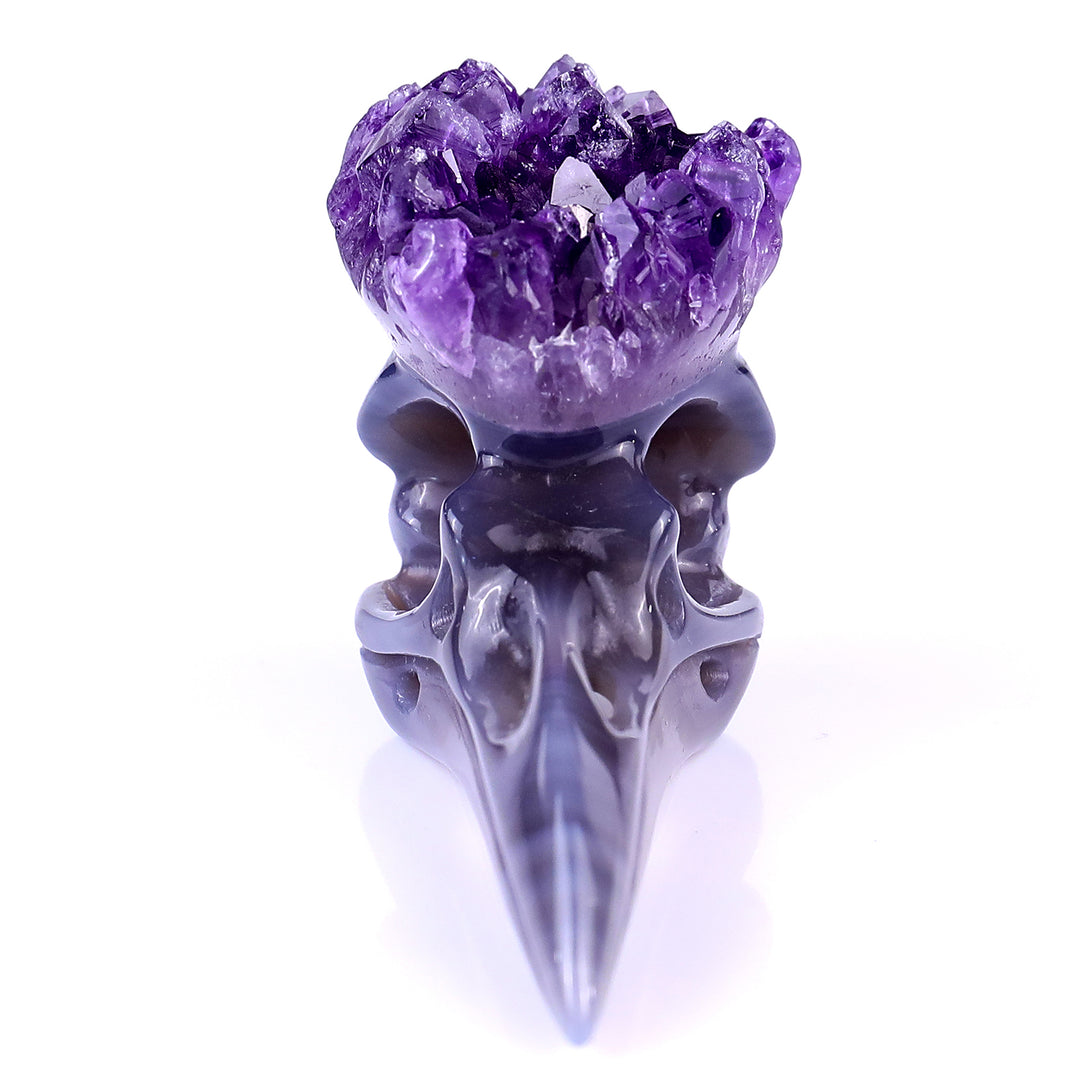 3.4" Amethyst Druse Agate Hand Carved Crystal Raven Skull Sculpture crysvibe