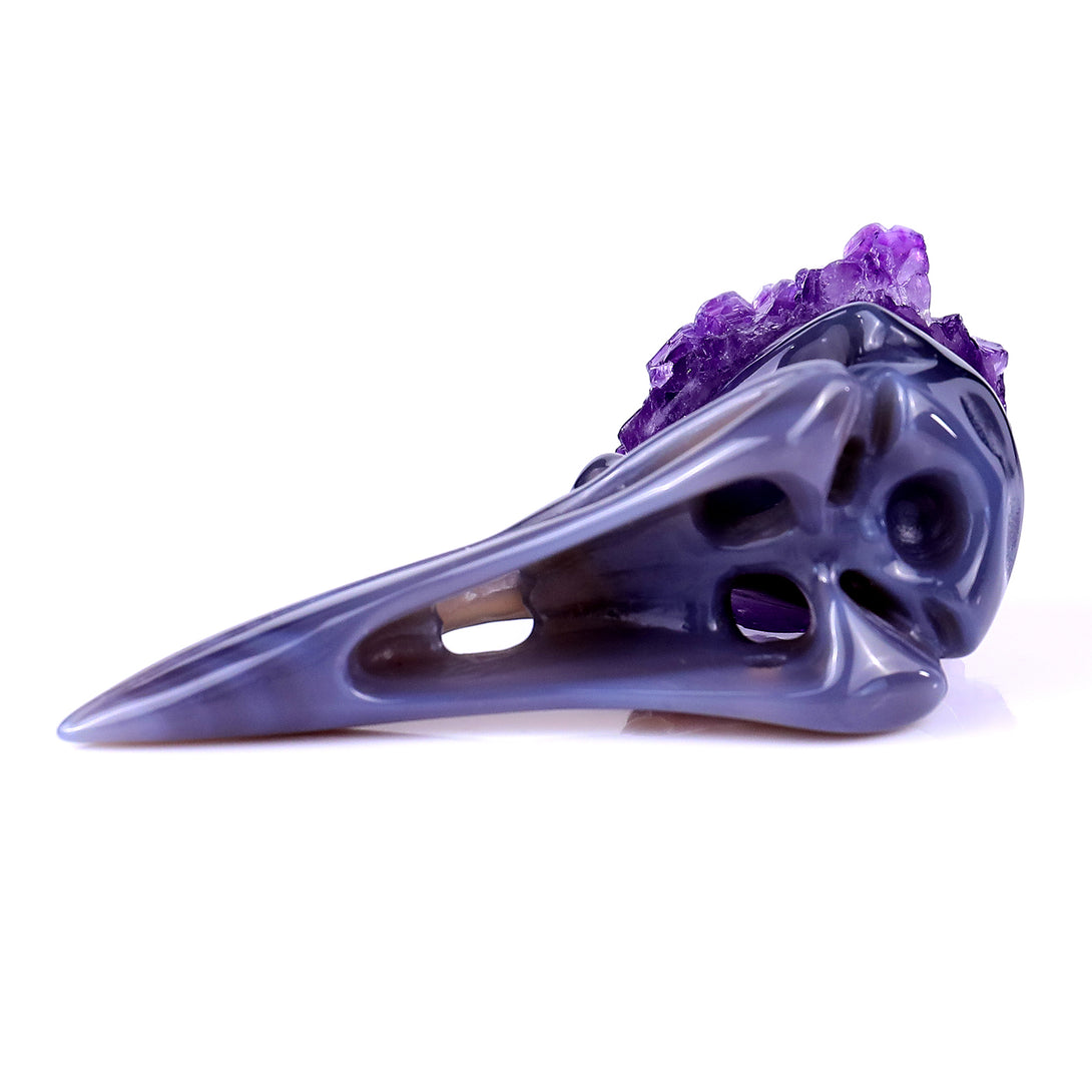 3.4" Amethyst Druse Agate Hand Carved Crystal Raven Skull Sculpture crysvibe