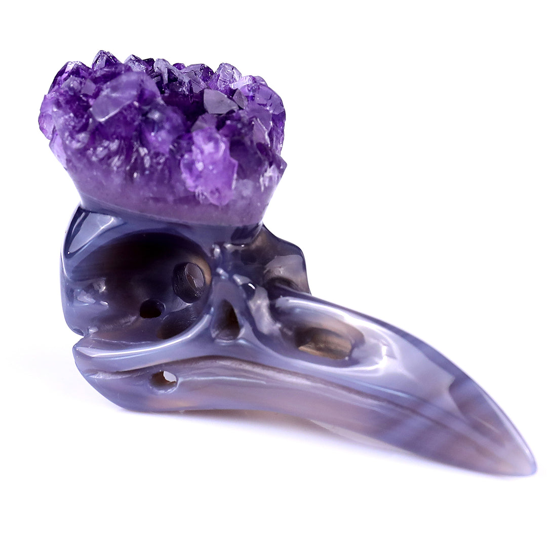 3.4" Amethyst Druse Agate Hand Carved Crystal Raven Skull Sculpture crysvibe