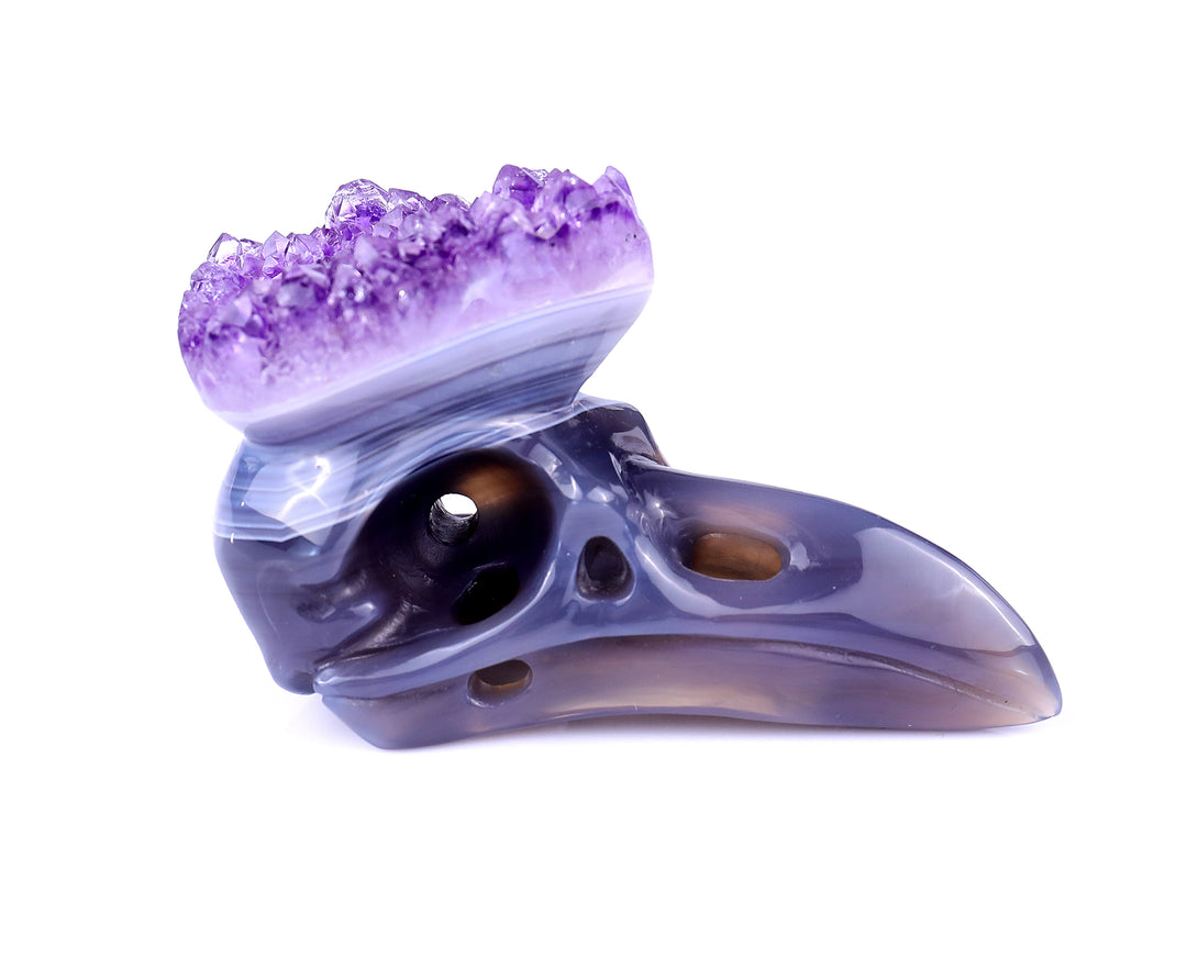 3.7" Amethyst Druse Agate Hand Carved Crystal Raven Skull Sculpture crysvibe