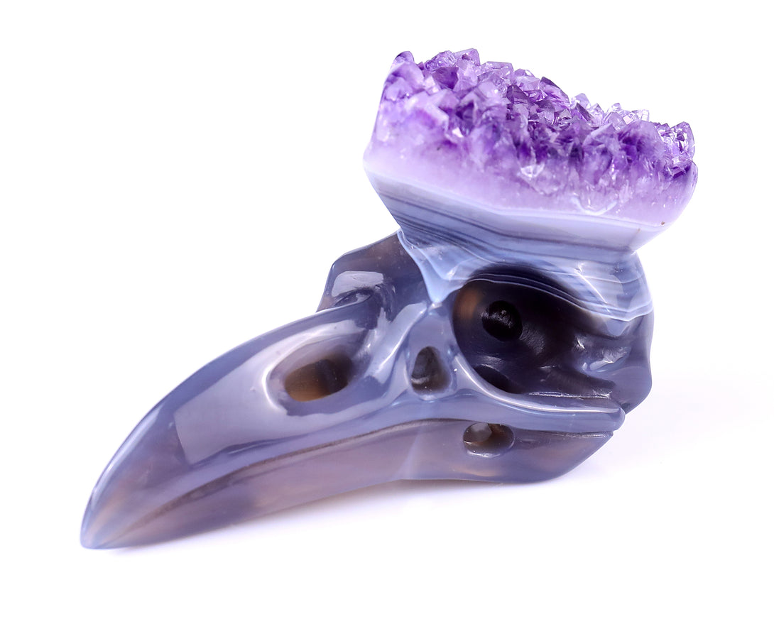 3.7" Amethyst Druse Agate Hand Carved Crystal Raven Skull Sculpture crysvibe