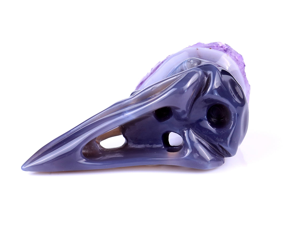 3.7" Amethyst Druse Agate Hand Carved Crystal Raven Skull Sculpture crysvibe