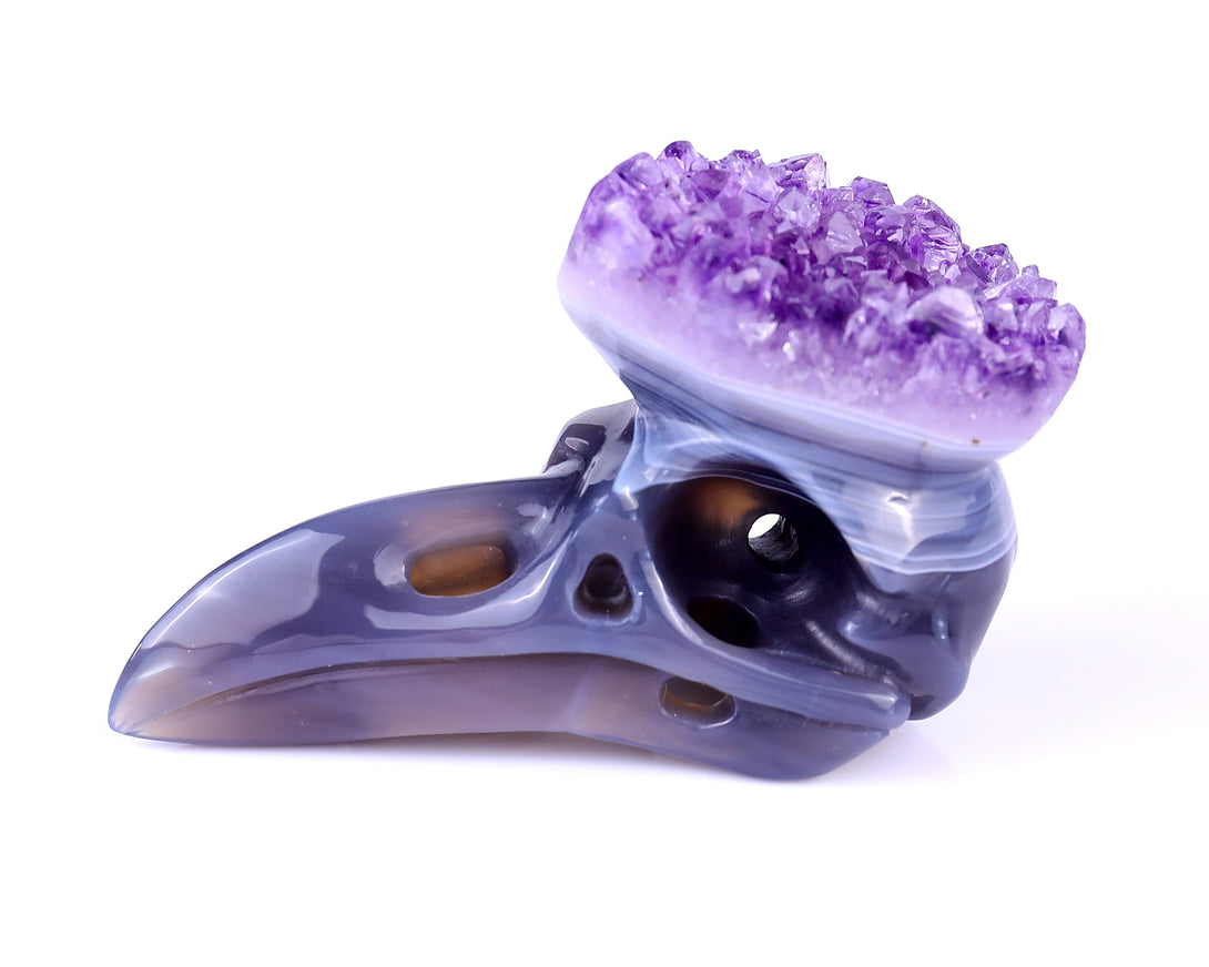 3.7" Amethyst Druse Agate Hand Carved Crystal Raven Skull Sculpture crysvibe