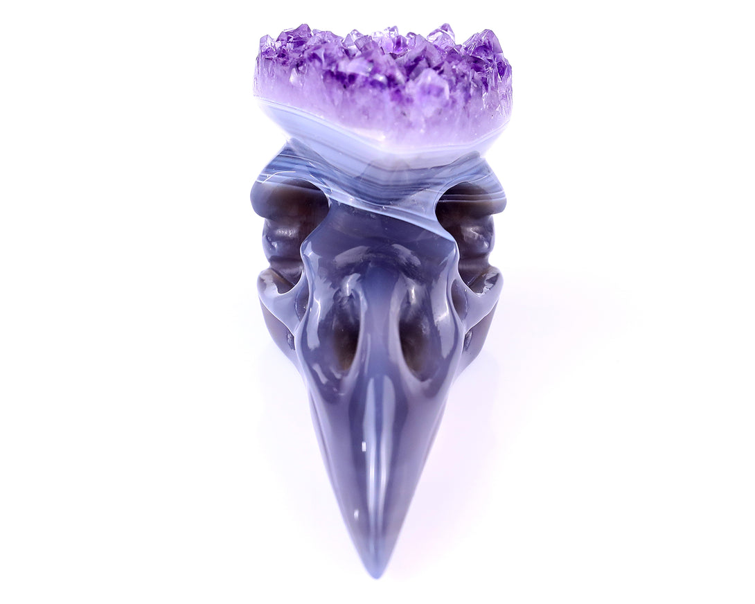 3.7" Amethyst Druse Agate Hand Carved Crystal Raven Skull Sculpture crysvibe