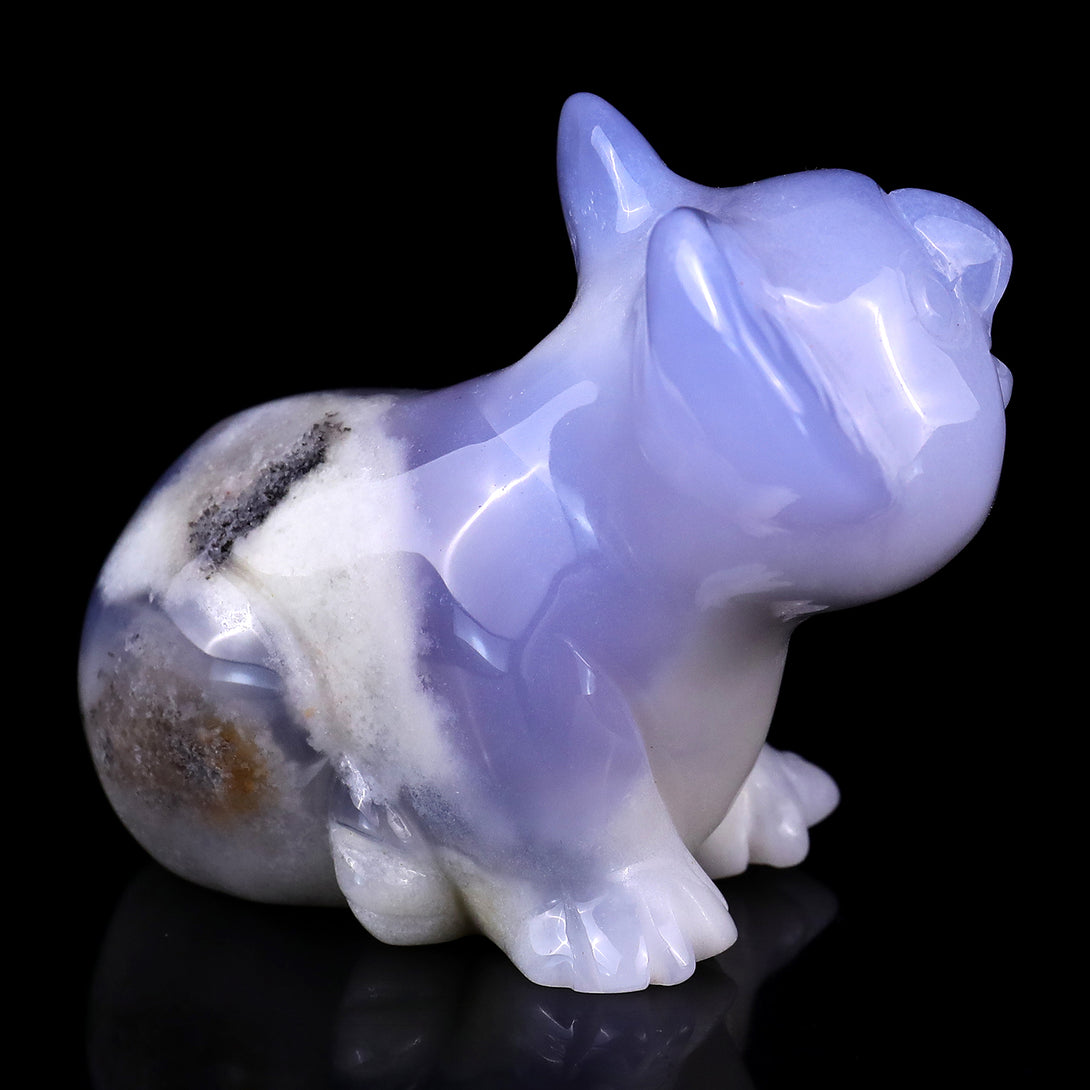 3.7" Blue Chalcedony Hand Carved Crystal Koala Sculpture crysvibe