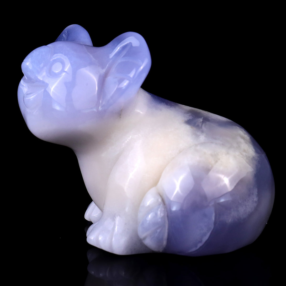 3.7" Blue Chalcedony Hand Carved Crystal Koala Sculpture crysvibe