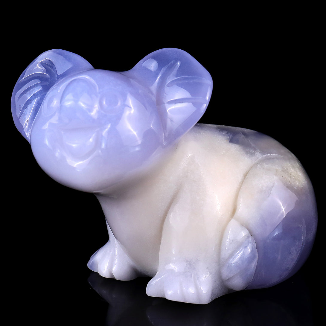 3.7" Blue Chalcedony Hand Carved Crystal Koala Sculpture crysvibe