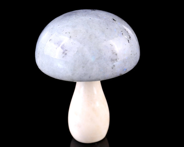 80mm Labradorite Hand Carved Crystal Mushrooms Sculpture