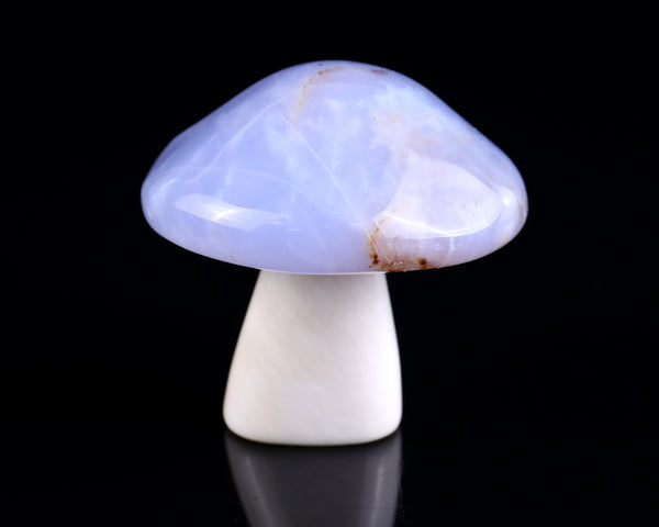 Natural Blue Chalcedony Hand Carved Crystal Mushroom Sculpture