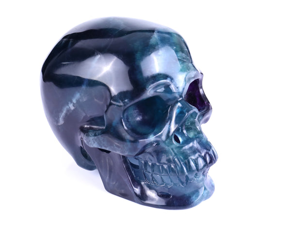 6.9" Fluorite Hand Carved Crystal Realistic Hollow Skull Sculpture