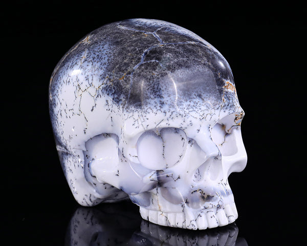 3.6" White Opal Hand Carved Crystal Realistic Skull Sculpture