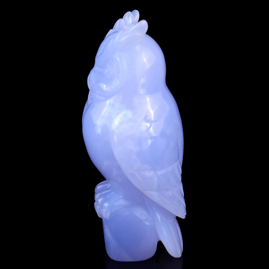 4.1" Blue Chalcedony Hand Carved Crystal Owl Sculpture crysvibe