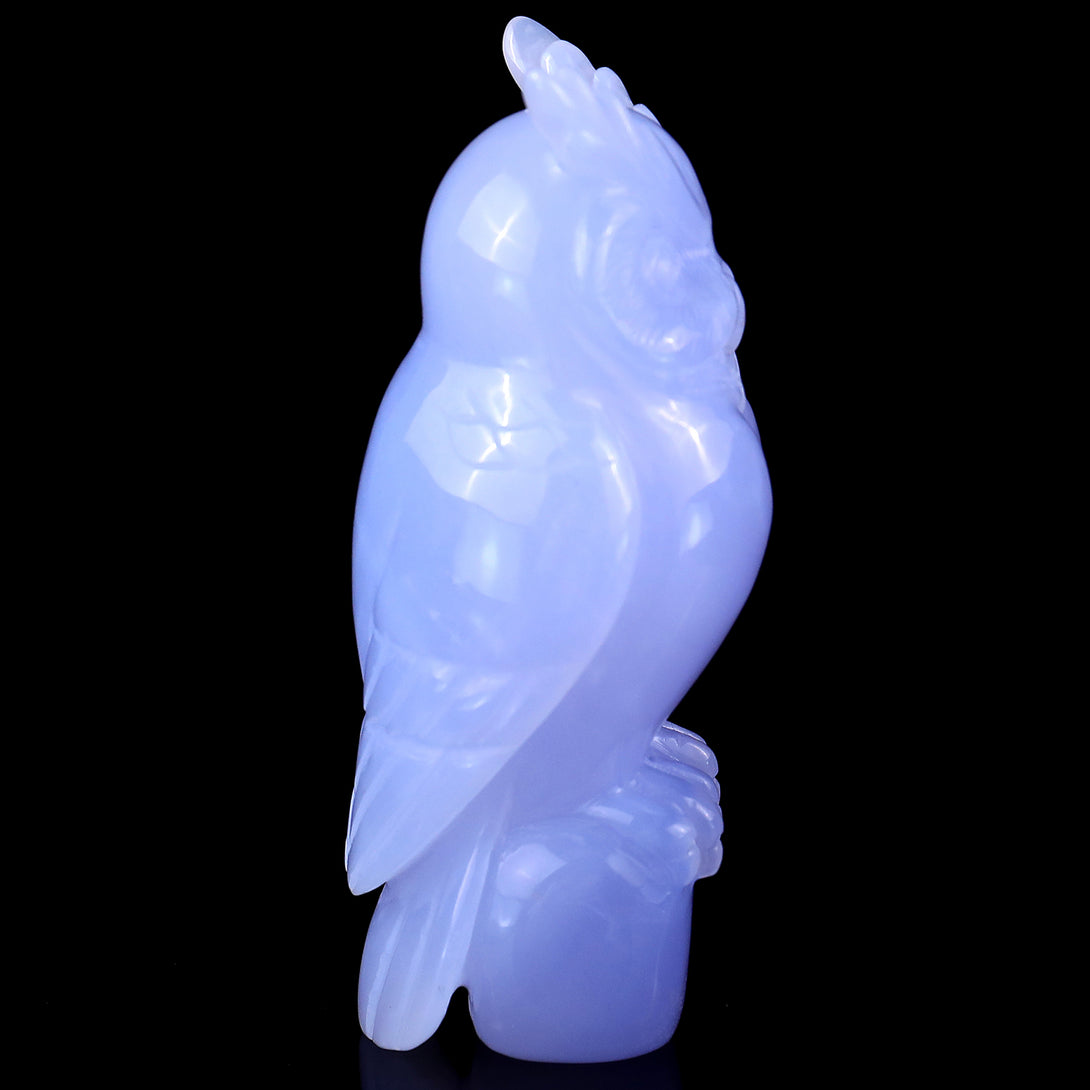 4.1" Blue Chalcedony Hand Carved Crystal Owl Sculpture crysvibe