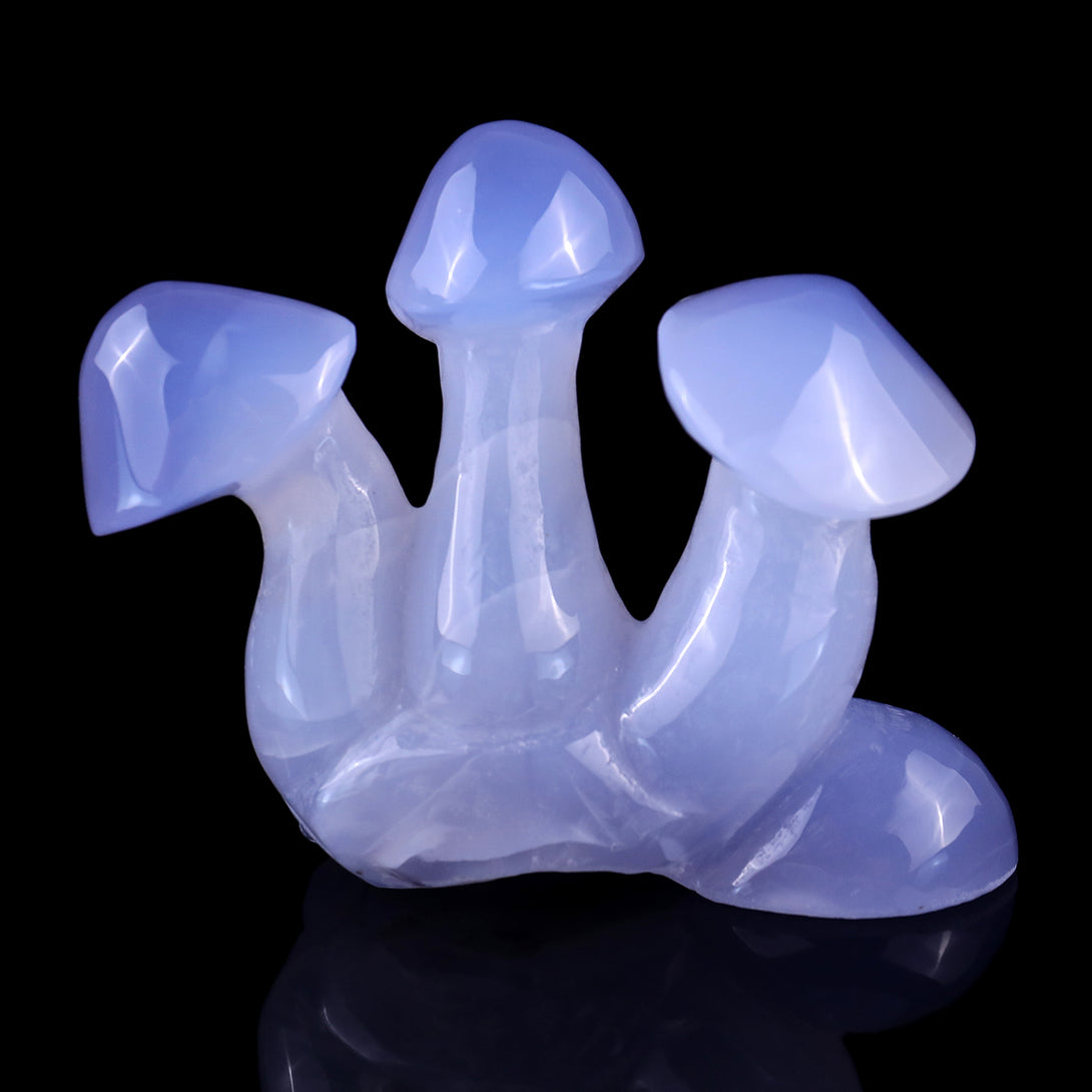 4.2" Blue Chalcedony Hand Carved Crystal Mushrooms Sculpture crysvibe