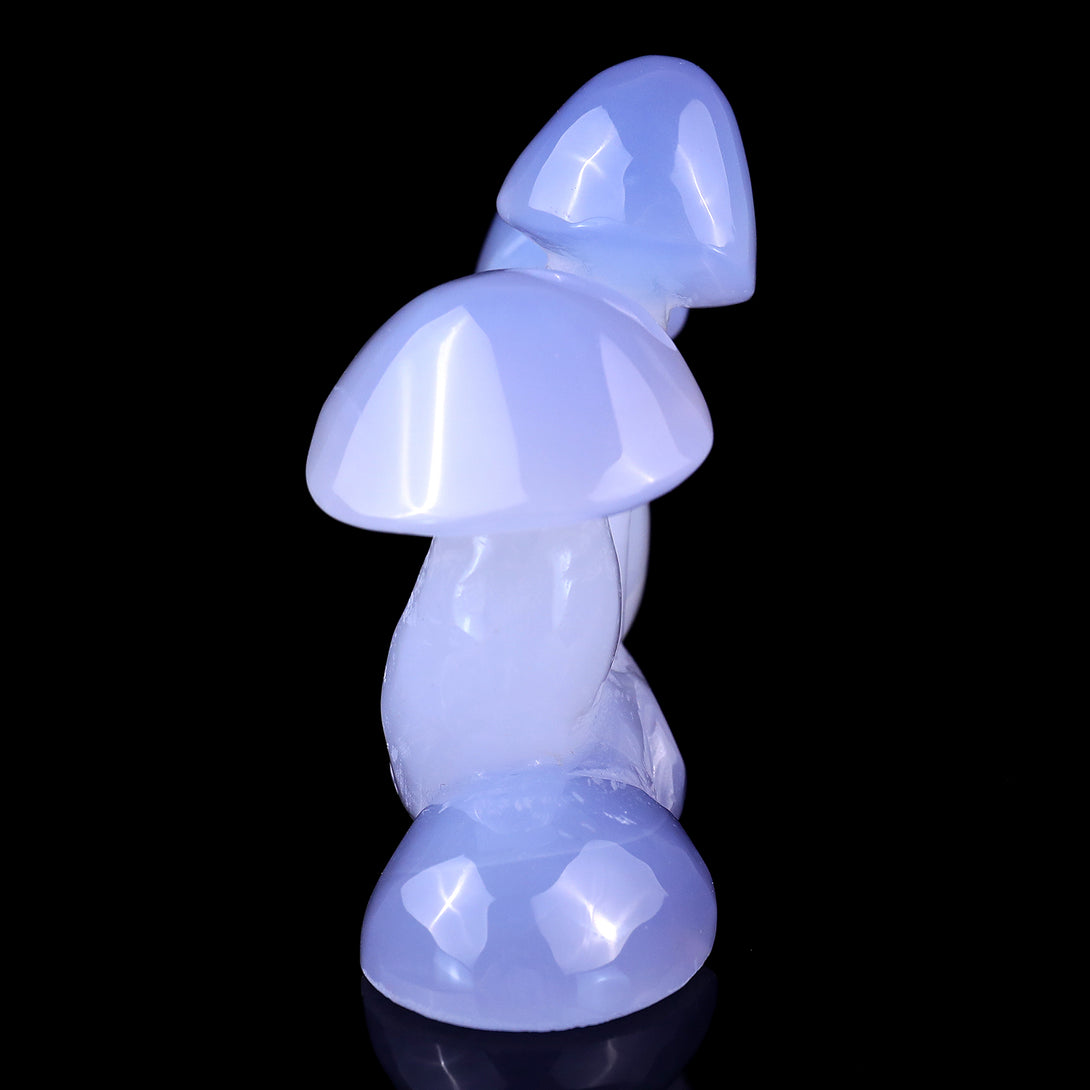 4.2" Blue Chalcedony Hand Carved Crystal Mushrooms Sculpture crysvibe