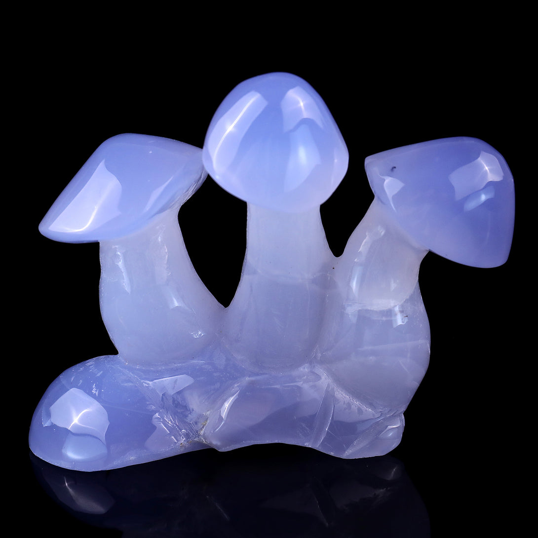 4.2" Blue Chalcedony Hand Carved Crystal Mushrooms Sculpture crysvibe