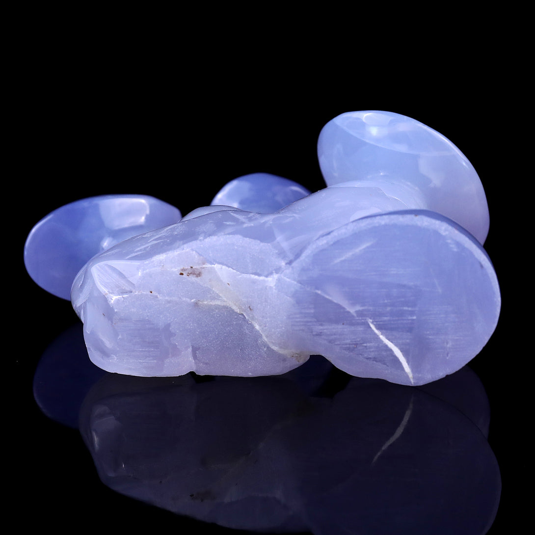 4.2" Blue Chalcedony Hand Carved Crystal Mushrooms Sculpture crysvibe