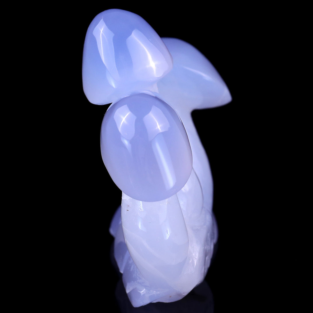 4.2" Blue Chalcedony Hand Carved Crystal Mushrooms Sculpture crysvibe