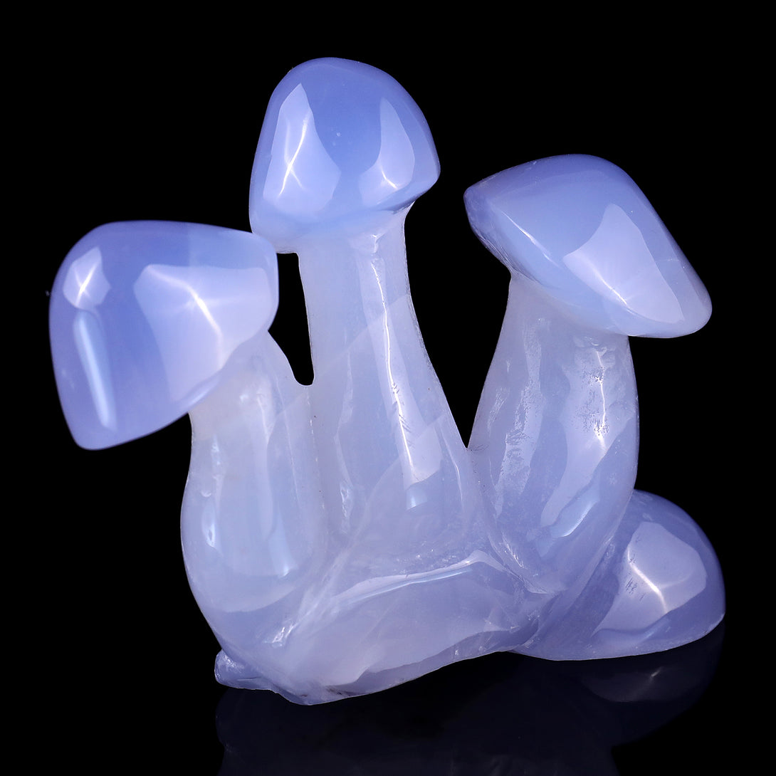 4.2" Blue Chalcedony Hand Carved Crystal Mushrooms Sculpture crysvibe