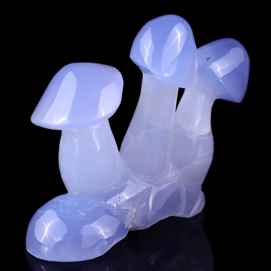 4.2" Blue Chalcedony Hand Carved Crystal Mushrooms Sculpture crysvibe