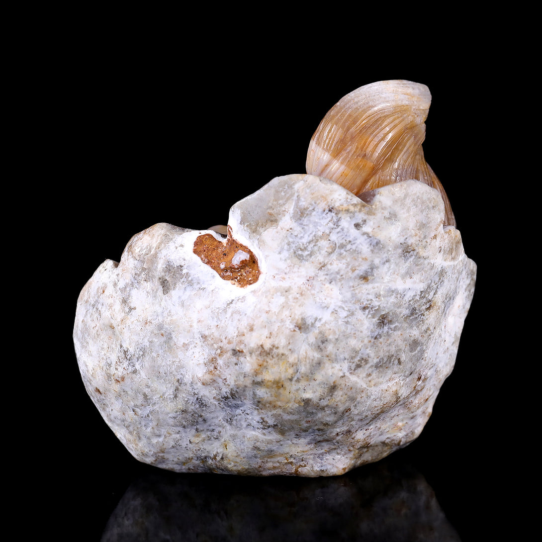 4.3" Chalcedony Hand Carved Crystal Squirrel Sculpture crysvibe